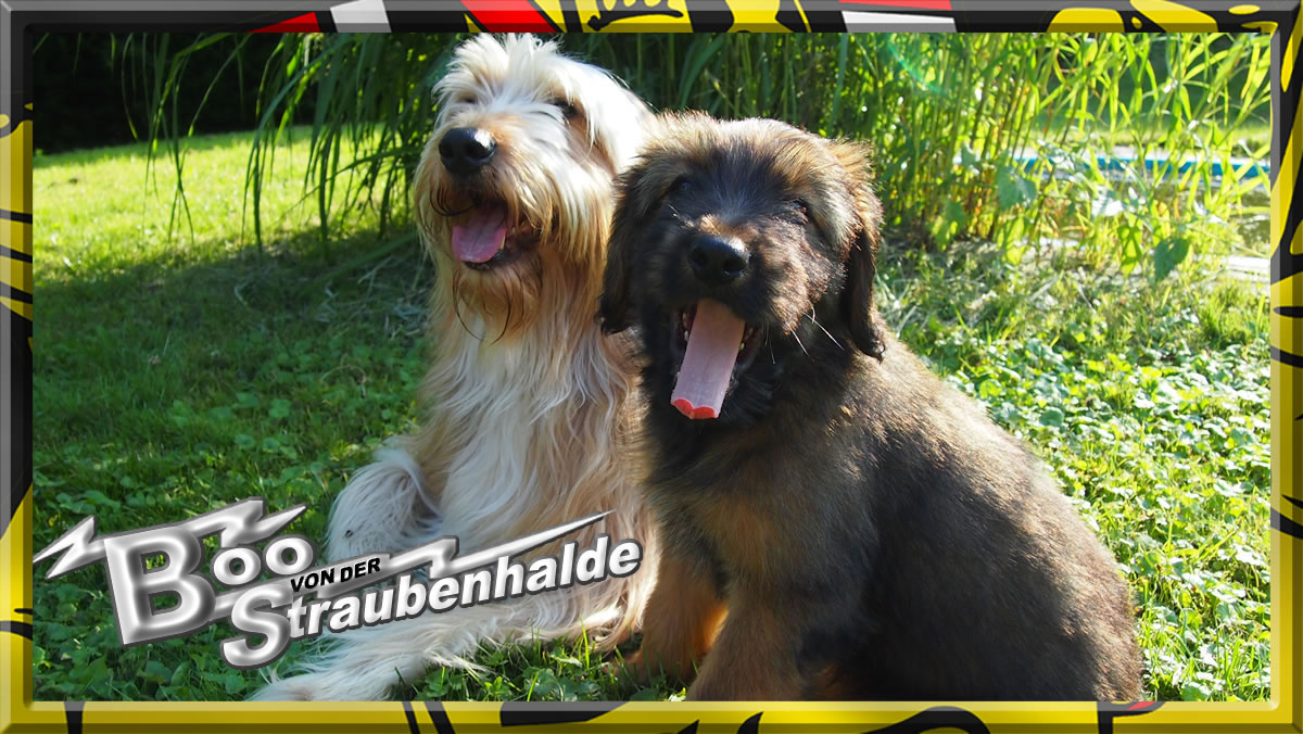 Wäller von der Straubenhalde